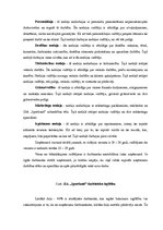 Referāts 'Uzņēmuma stratēģijas analīze', 11.