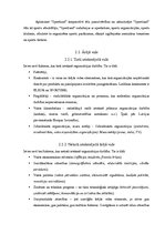 Referāts 'Uzņēmuma stratēģijas analīze', 13.