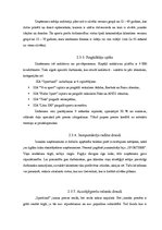 Referāts 'Uzņēmuma stratēģijas analīze', 15.