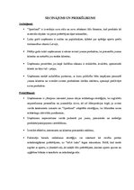 Referāts 'Uzņēmuma stratēģijas analīze', 19.