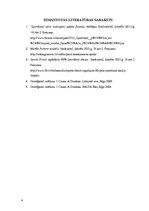 Referāts 'Uzņēmuma stratēģijas analīze', 20.