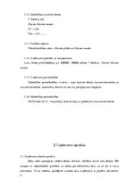 Biznesa plāns 'Auto rezerves detaļu veikals', 4.