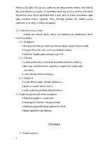 Biznesa plāns 'Auto rezerves detaļu veikals', 5.