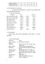 Biznesa plāns 'Auto rezerves detaļu veikals', 7.