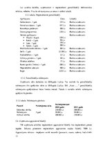 Biznesa plāns 'Auto rezerves detaļu veikals', 13.