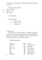 Biznesa plāns 'Auto rezerves detaļu veikals', 14.