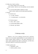 Biznesa plāns 'Auto rezerves detaļu veikals', 17.