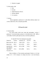 Biznesa plāns 'Auto rezerves detaļu veikals', 18.