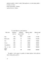 Biznesa plāns 'Auto rezerves detaļu veikals', 19.