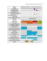 Referāts 'Gada treniņu plāns boksā', 7.