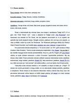 Referāts 'Elektroniskās mūzikas attīstība', 14.