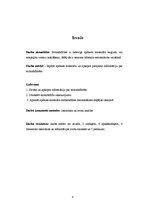 Referāts 'Mozaīkflīzes', 4.