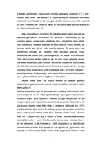 Referāts 'Mozaīkflīzes', 7.