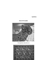 Referāts 'Mozaīkflīzes', 42.