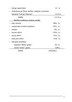 Referāts 'Uzņēmuma (atpūtas nama) dibināšana', 3.