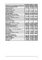 Referāts 'Uzņēmuma (atpūtas nama) dibināšana', 13.