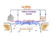 Prezentācija 'El Niño un La Niña', 19.