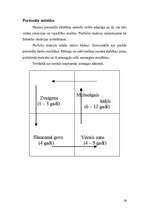 Referāts 'Personālvadība', 26.