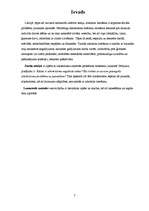 Referāts 'Alkohola ietekme uz mūsdienu jaunatni Pilsrundālē', 3.