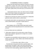 Referāts 'Alkohola ietekme uz mūsdienu jaunatni Pilsrundālē', 5.