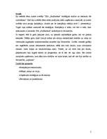 Konspekts 'SIA "SunRookus" stratēģijas analīze un ieteikumi tās uzlabošanai', 2.