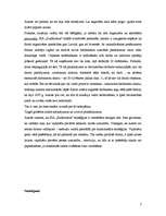 Konspekts 'SIA "SunRookus" stratēģijas analīze un ieteikumi tās uzlabošanai', 7.