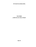 Eseja 'Konflikti darba vietā - cēloņi un risinājumi', 1.