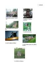 Referāts 'Tūristu interešu piesaistes un tūrisma objektu raksturojums Valmieras rajonā', 21.