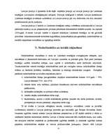 Referāts 'Lisabonas stratēģija un nodarbinātība Latvijā', 11.