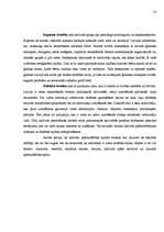 Referāts 'Pasaules globalizācijas tendences un noziedzība', 18.