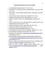 Referāts 'Pasaules globalizācijas tendences un noziedzība', 21.