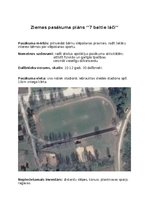 Konspekts 'Ziemas pasākuma plāns ‘’7 baltie lāči’’', 2.