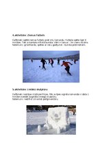 Konspekts 'Ziemas pasākuma plāns ‘’7 baltie lāči’’', 5.