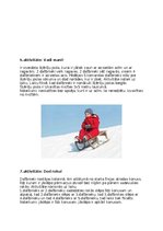 Konspekts 'Ziemas pasākuma plāns ‘’7 baltie lāči’’', 6.