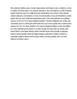 Referāts 'Bufetes tehnoloģiskais process', 4.