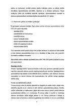 Referāts 'Rīgas atkritumu apsaimniekošanas plāns', 5.