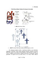 Referāts 'Darba aizsardzības instrukcija Sniega tīrīšanai no ēkas jumta', 21.