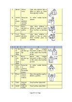 Referāts 'Darba aizsardzības instrukcija Sniega tīrīšanai no ēkas jumta', 29.
