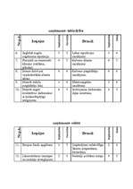 Konspekts 'Uzņēmuma "XL" SWOT analīze', 4.
