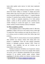 Referāts 'Piegādes "Tieši laikā"', 17.