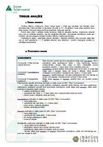 Biznesa plāns 'Biznesa plāns SIA "Žabo"', 3.