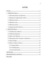 Referāts 'Pakalpojumu plānošana uzņēmumā', 3.