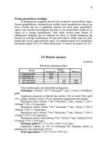 Referāts 'Pakalpojumu plānošana uzņēmumā', 20.