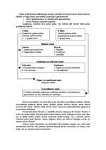 Referāts 'Kontu plāns kā grāmatveža darba rīks', 2.