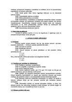 Referāts 'Kontu plāns kā grāmatveža darba rīks', 13.