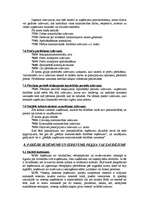 Referāts 'Kontu plāns kā grāmatveža darba rīks', 19.