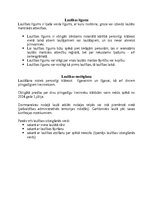 Konspekts 'Ģimenes tiesības', 2.