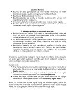 Konspekts 'Ģimenes tiesības', 3.