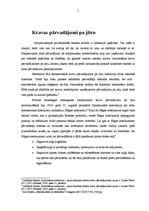 Referāts 'Starptautiskie pasažieru un kravu pārvadājumi pa jūru, pārvadātāja un kuģīpašnie', 5.