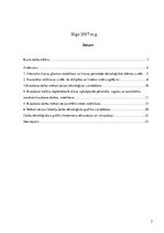 Referāts 'Kravu pārkraušanas tehnoloģija', 2.